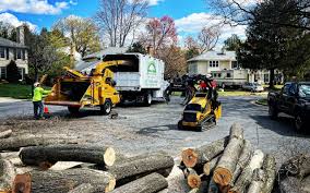 How Our Tree Care Process Works  in  Old River Winfree, TX